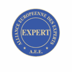 Godot et Fils Vannes- Or et métaux précieux 20 experts